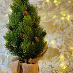 Arvore Vaso Decorado -35cm