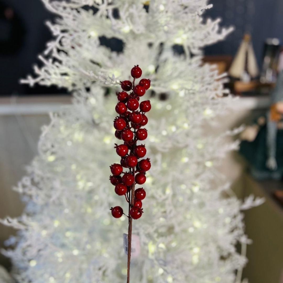 Haste Berry – 55 cm